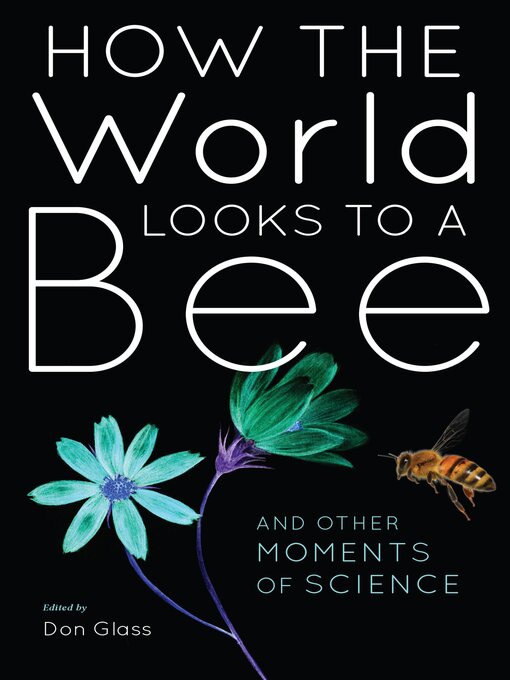 Title details for How the World Looks to a Bee by Don Glass - Available